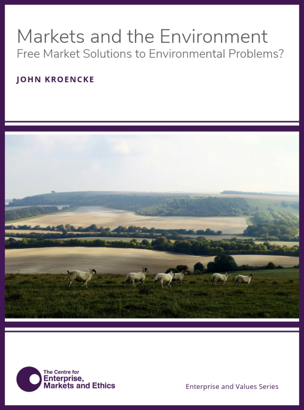 Markets and the Environment Kroencke